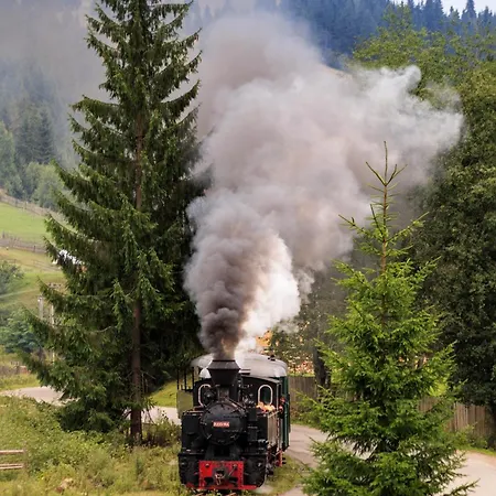 Bucovina Exclusiv *