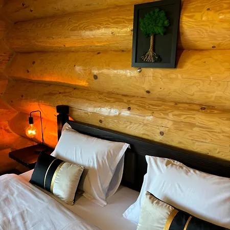 Bucovina Exclusiv Vama (Suceava)